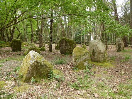 Some of the larger stones in the alignements du Petit-Ménec, Carnac