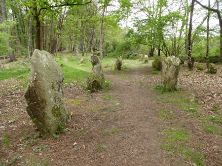 The magical stones of Petit-Ménec, Carnac