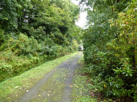 The magical overgrown driveway leading to Mavisbank House